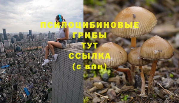 mix Каменногорск