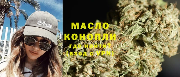 ешки Инта