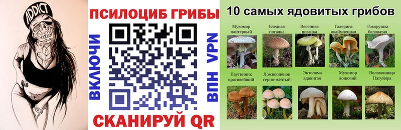 Псилоцибиновые грибы ЛСД  Купить  Калач 